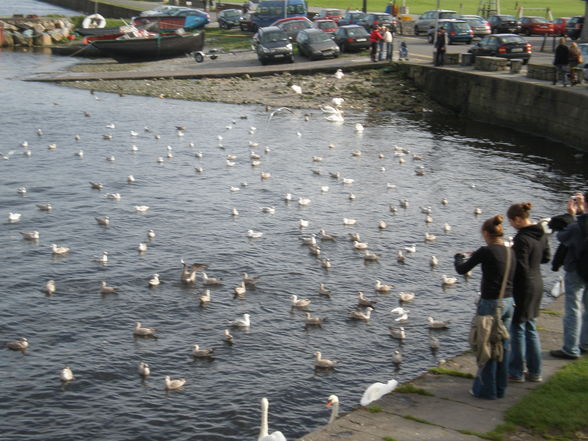 Galway + Aran Islands - 