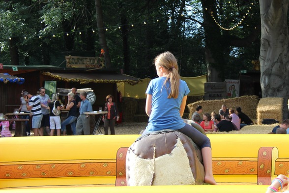 The Buffaloes beim Ackern 2012 - 