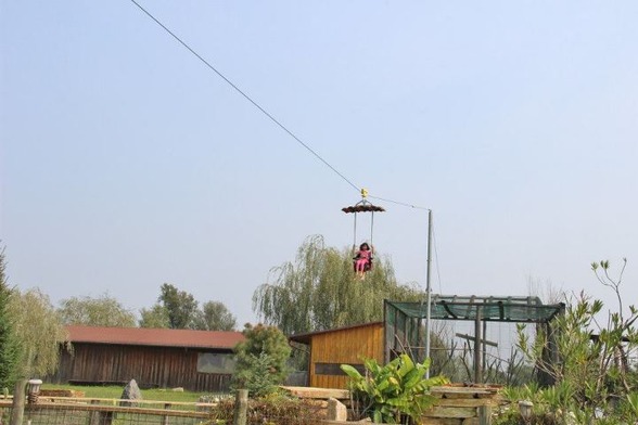 Tierpark Preding Wettmannstätten - 