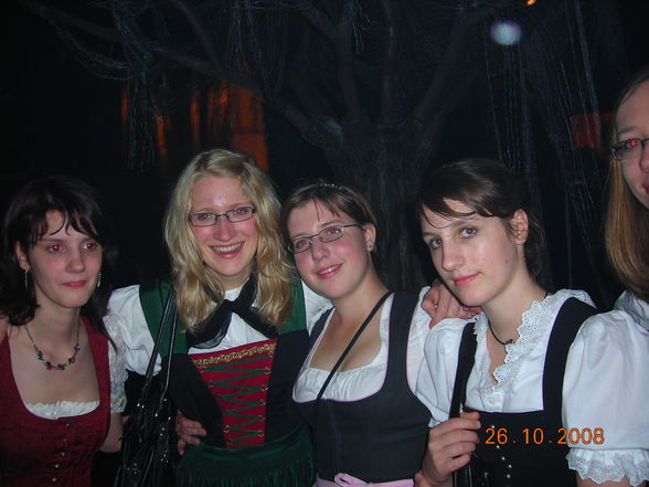 wieslburger ball 2008 - 