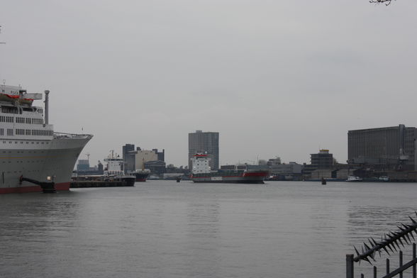 Big AnTi in little Rotterdam - 
