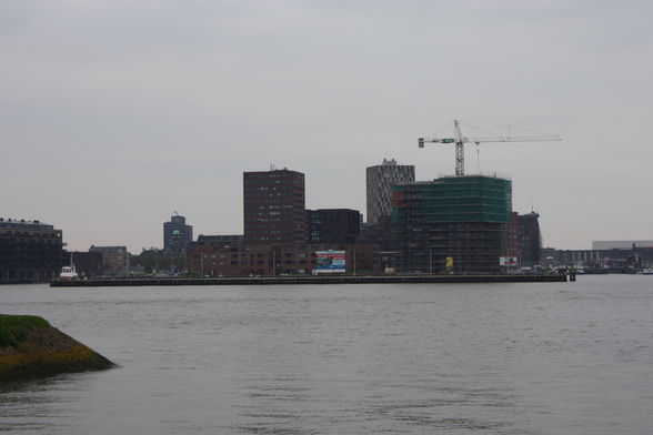 Big AnTi in little Rotterdam - 