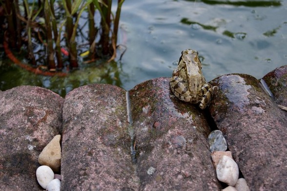 meine fotografien  - 