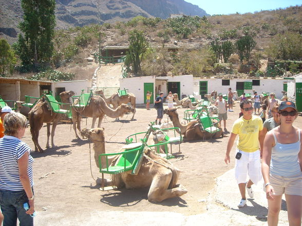 Gran Canaria die zweite 2008 - 