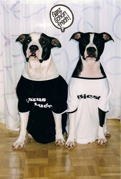 My two favorite Pit Bull´s - 
