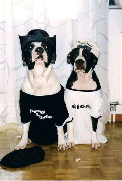 My two favorite Pit Bull´s - 