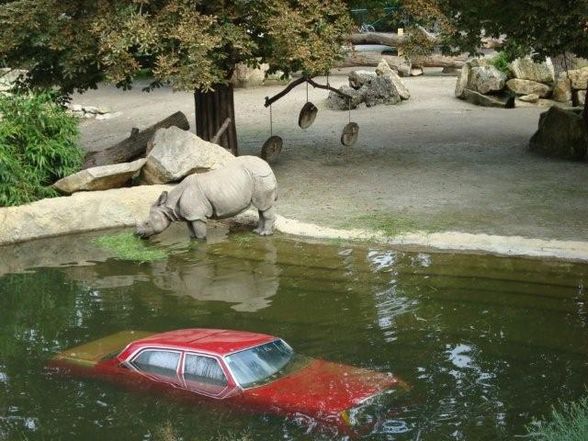 TIergarten Schönbrunn - 