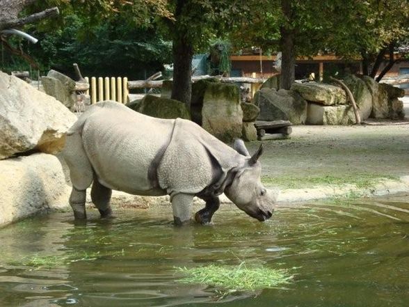 TIergarten Schönbrunn - 