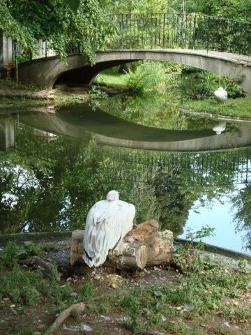 TIergarten Schönbrunn - 