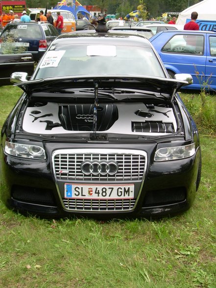 auto treffen am ausee - 