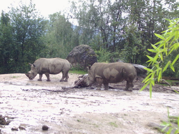 Tierpark Hellbrunn - 