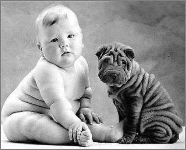 Witzige Tierbilder - 