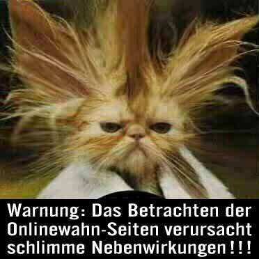 Witzige Tierbilder - 