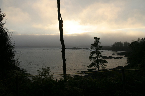 trip to tofino - 