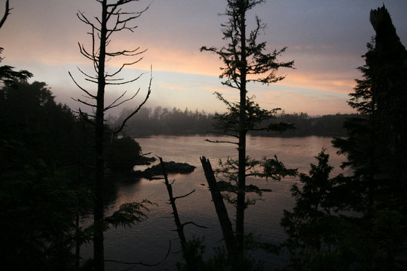 trip to tofino - 