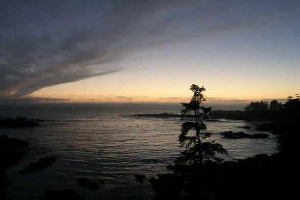 trip to tofino - 