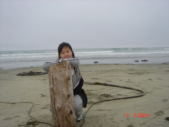 trip to tofino - 