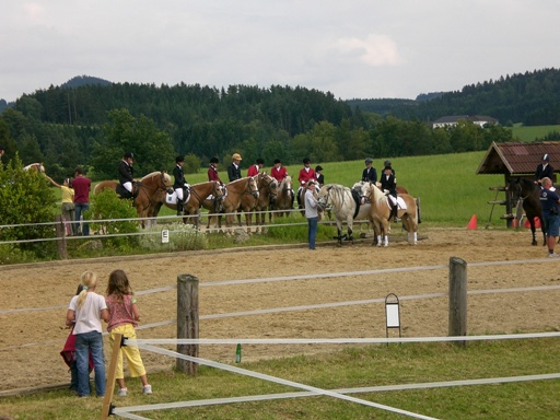 Springturnier 2007 - 