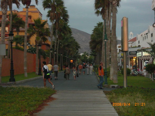 Teneriffa 2008 - 