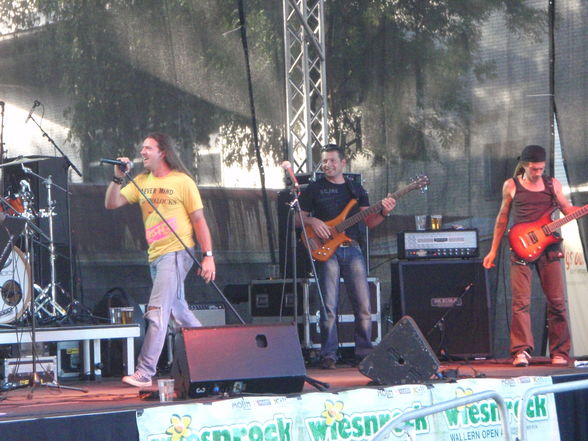 WIESENROCK 2009 - 