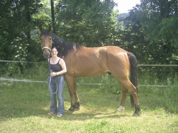 mein baby HOOKER und ich - 