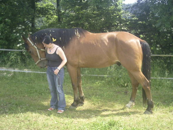 mein baby HOOKER und ich - 