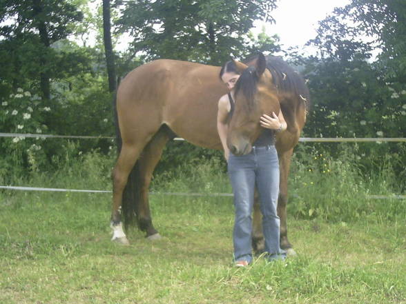 mein baby HOOKER und ich - 