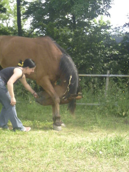 mein baby HOOKER und ich - 