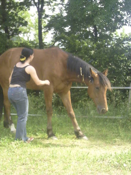 mein baby HOOKER und ich - 