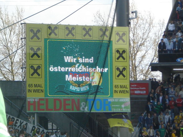 Meister Rapid 2008 - 