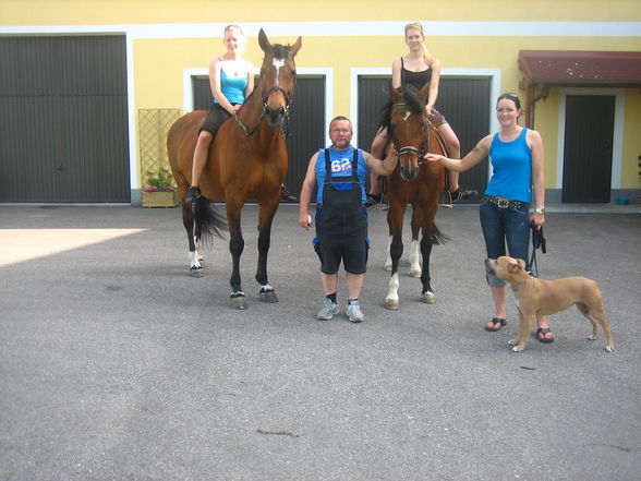 Reiten 2008 - 