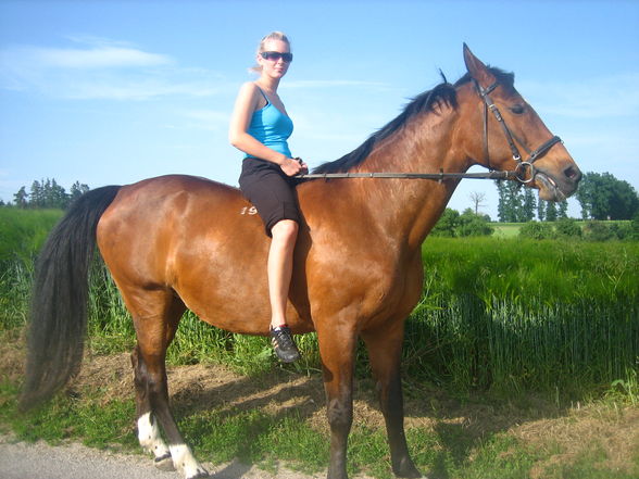 Reiten 2008 - 