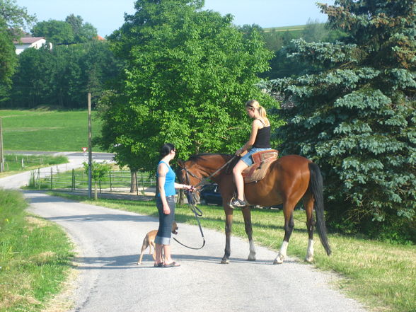 Reiten 2008 - 