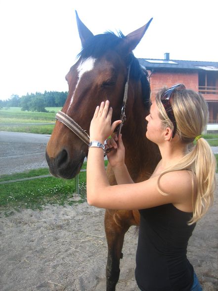 Reiten 2008 - 