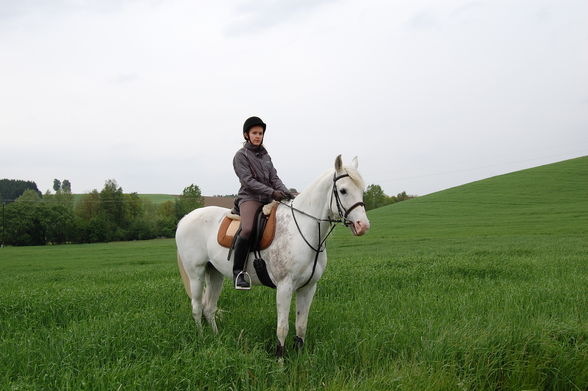 Reiten 09 - 