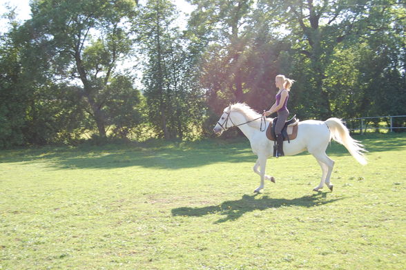 Reiten 09 - 