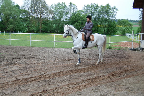 Reiten 09 - 