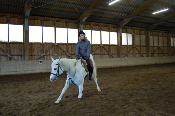 Reiten 09 - 