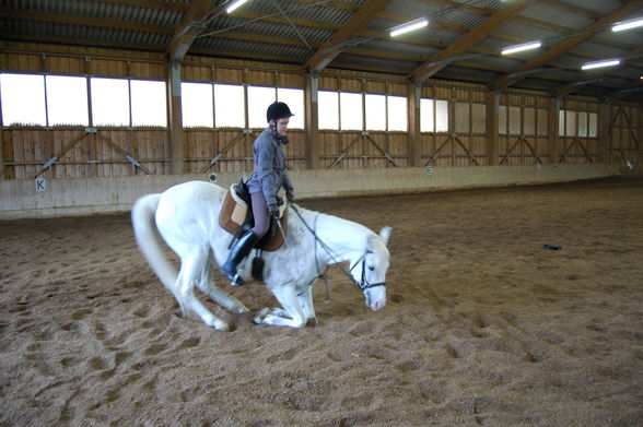 Reiten 09 - 