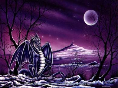 Drachen - 