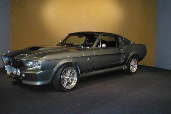 Ford Mustangs - 