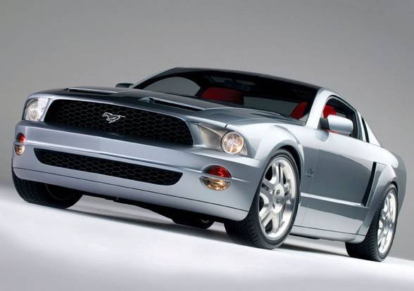 Ford Mustangs - 