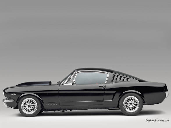 Ford Mustangs - 