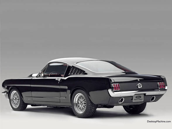 Ford Mustangs - 