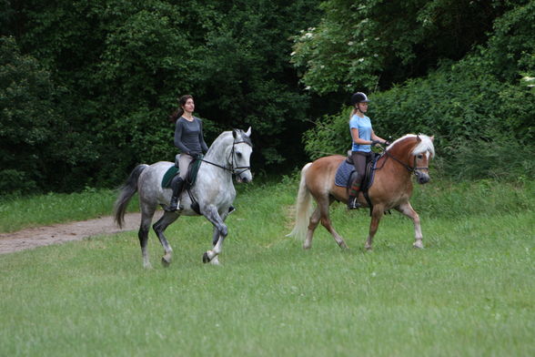 Heiße Eisen 09 - 