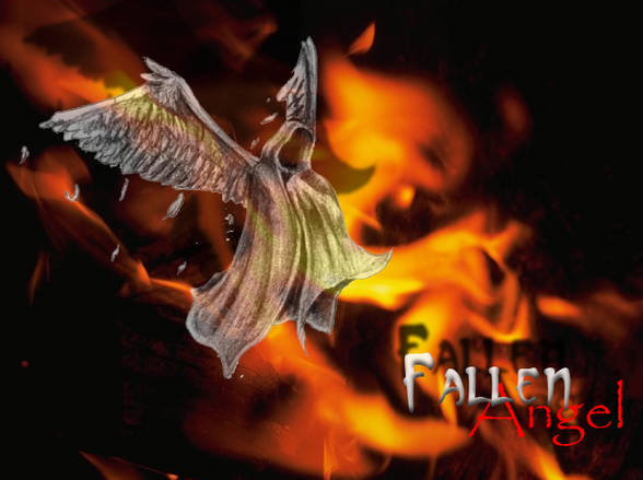 Fallen Angel's - 