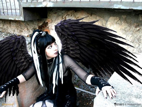 Fallen Angel's - 