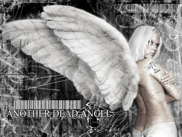 Fallen Angel's - 