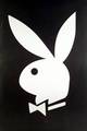 PlayBoy - 