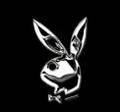 PlayBoy - 